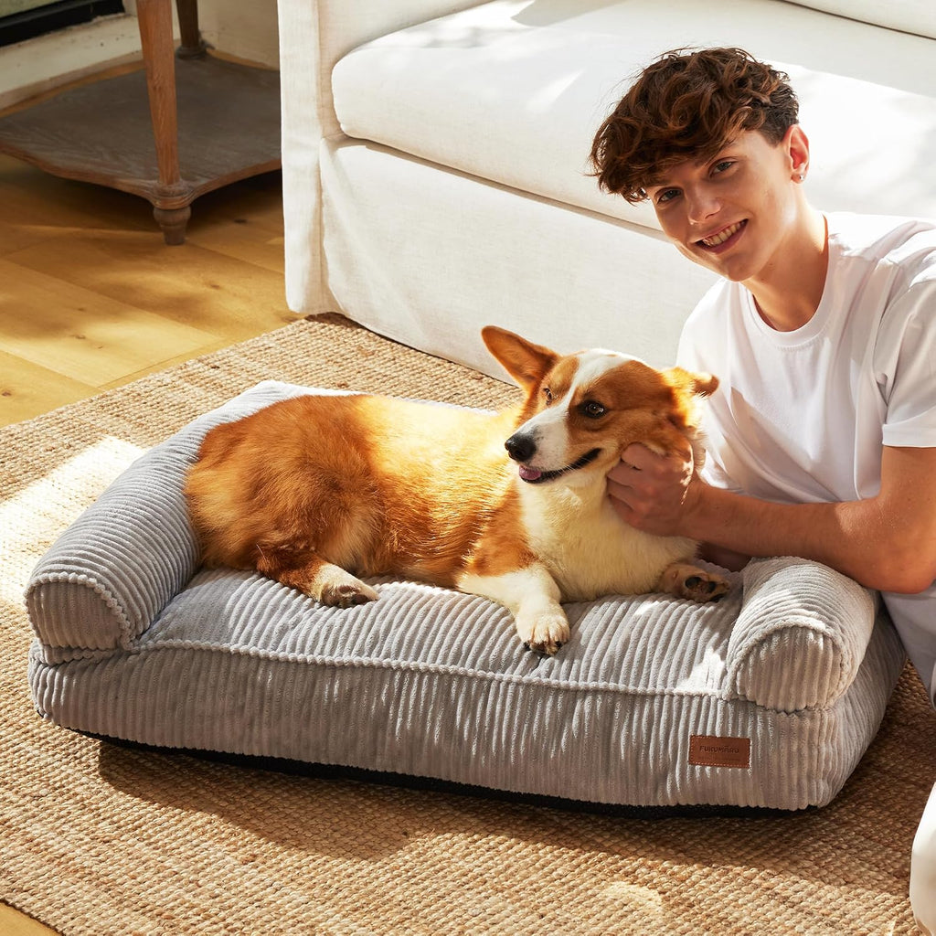 Cute Dog Bed, Fluffy Dogs Couch with TPU Layer Keeping Lining Dry, Pet Sofa Medium Size Dog Easy to Care, Warm Cat Bed with Removable Zipper Cover, 36Inch, Large, Light Grey