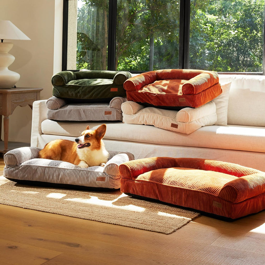 Cute Dog Bed, Fluffy Dogs Couch with TPU Layer Keeping Lining Dry, Pet Sofa Medium Size Dog Easy to Care, Warm Cat Bed with Removable Zipper Cover, 36Inch, Large, Light Grey