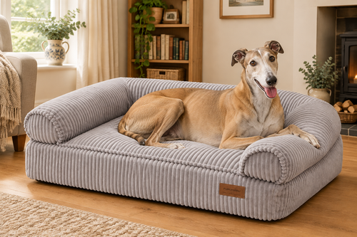 Greyhound resting on a large light grey ribbed corduroy sofa-style dog bed in a cosy living room